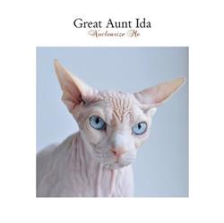 télécharger l'album Great Aunt Ida - Nuclearize Me