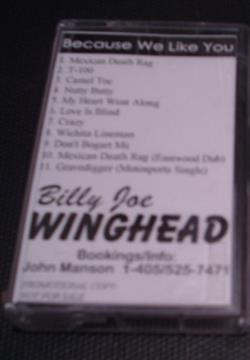 lyssna på nätet Billy Joe Winghead - Because We Like You