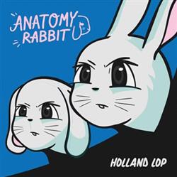 Download Anatomy Rabbit - Holland Lop