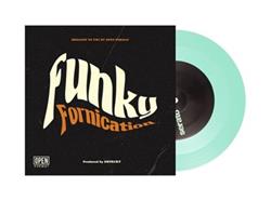 baixar álbum DJ Dstrukt - Funky Fornication