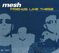 lataa albumi Mesh - Friends Like These