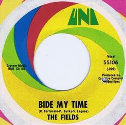 lataa albumi The Fields - Bide My Time Take You Home