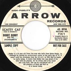 escuchar en línea Bobby Bunny And The Jackrabbits - Scatty Cat