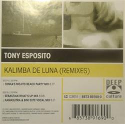 baixar álbum Tony Esposito - Kalimba De Luna Remixes
