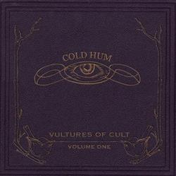 lataa albumi Vultures Of Cult - Cold Hum