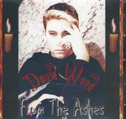 descargar álbum David Wood - From The Ashes