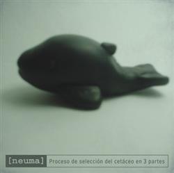 Album herunterladen neuma - Proceso De Seleccion Del Cetaceo En Tres Partes