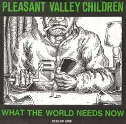last ned album Pleasant Valley Children - What The World Needs Now