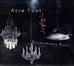 lataa albumi Acre Foot - Extraordinary Room