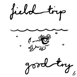 last ned album Good Try - Field Trip