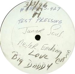 ladda ner album Junior Soul, Big Daddy Cass - Never Ending Love