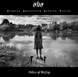 descargar álbum Obo - Palace Of Waiting