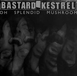 ascolta in linea Bastard Kestrel - Oh Splendid Mushroom