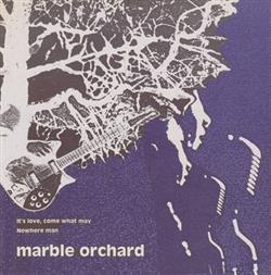 lataa albumi The Surf Trio Marble Orchard - Dis Cover Series Vol 2