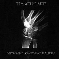 lataa albumi Trancelike Void - Destroying Something Beautiful
