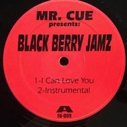 escuchar en línea Mr Cue Presents Black Berry Jamz - I Can Love You