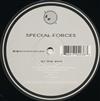  Special Forces - The End Babylon