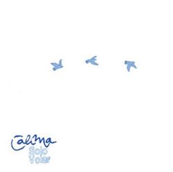 descargar álbum Calima - Solo Volar