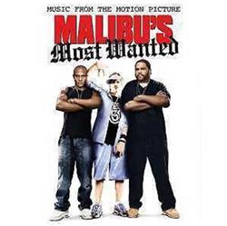 last ned album Various - Malibus Most Wanted Music From The Motion Picture