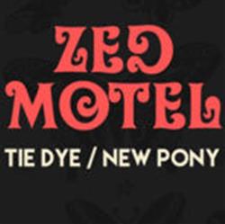 lytte på nettet Zed Motel - Tie DyeNew Pony