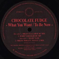 descargar álbum Chocolate Fudge - What You Want To Be Now