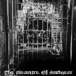 Endless Nostalgia From A Void Mind - The Pleasure Of Madness