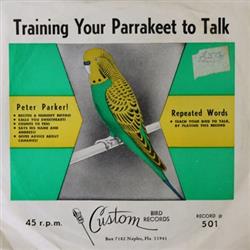 No Artist - Training Your Parrakeet To Talk