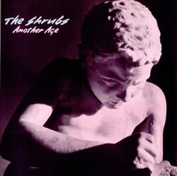 descargar álbum The Shrubs - Another Age