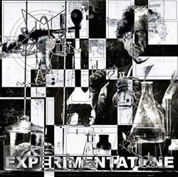 Album herunterladen DZKYIN - Experimentatone