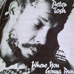 Download Peter Tosh - Where You Gonna Run