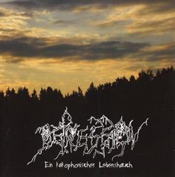 descargar álbum Depression - Ein Kakophonisher Lebenshauch