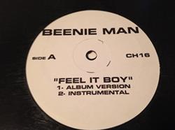 baixar álbum Beenie Man Onyx - Feel It Boy Slam Harder