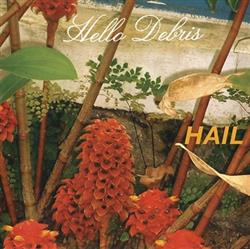 lataa albumi Hail - Hello Debris