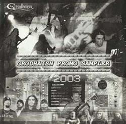 lataa albumi Various - Grodhaisn Promo Sampler 2003