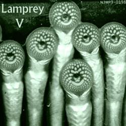 lataa albumi Lamprey - Lamprey V