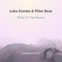 ascolta in linea Luka Sambe & Filter Bear - Birds Of The Ravine
